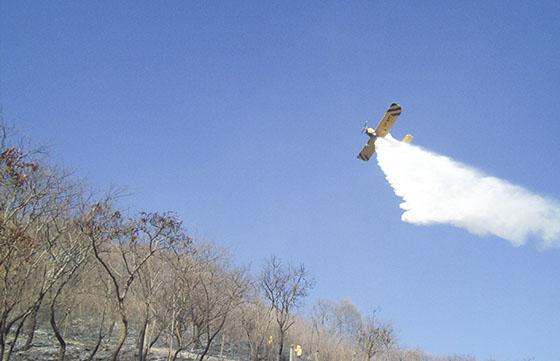 Avion