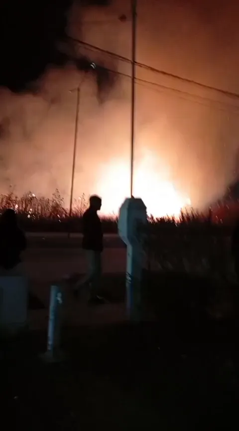 VID-20250713-WA0139