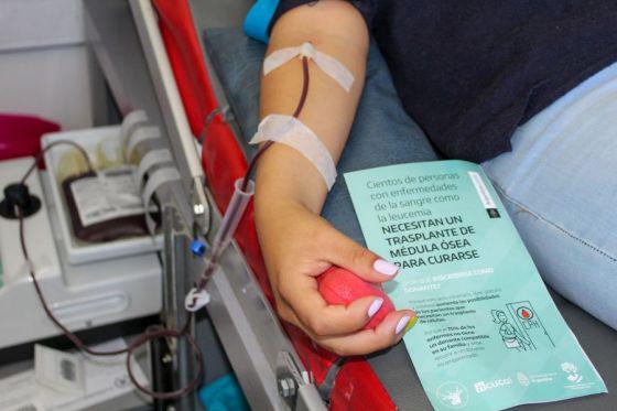 87037-son-20-los-voluntarios-saltenios-que-donaron-medula-osea-en-cinco-anios