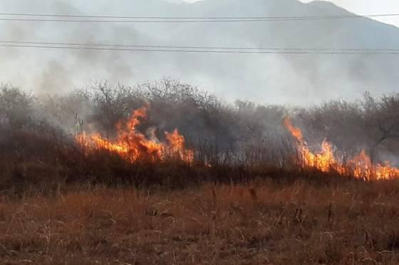 72155-guardaparques-y-bomberos-sofocaron-incendios-en-finca-las-costas