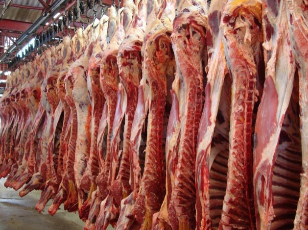 carne