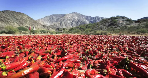 62da989d43391_600_315!