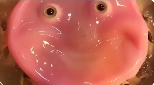 WhatsApp Image 2024-07-02 at 12.41.38