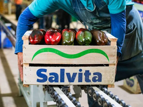 salvita