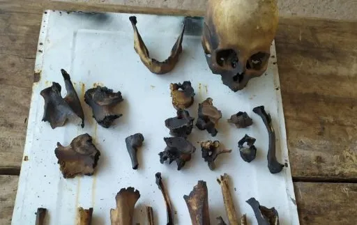 WhatsApp Image 2025-10-30 at 15.34.46