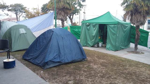 acampe