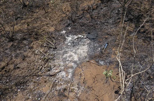 WhatsApp Image 2025-10-21 at 8.13.23 PM