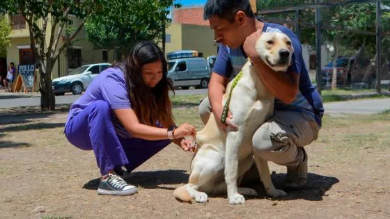 96527-el-viernes-vacunaran-contra-la-rabia-a-perros-y-gatos-frente-al-hospital-senior-del-milagro