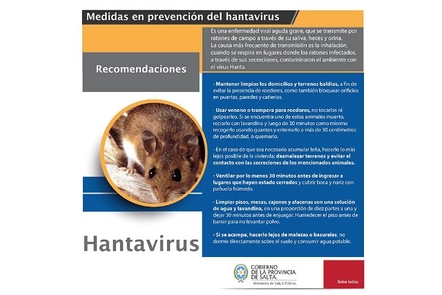 hantavirus