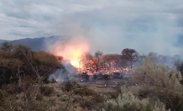 incendio Cafayate