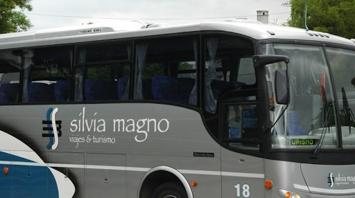 silvia magno