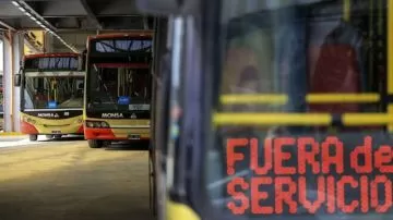 66bf716d1d426_360_202!