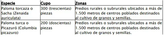 pesca 1