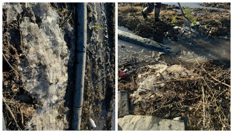 heladas valle de lerma