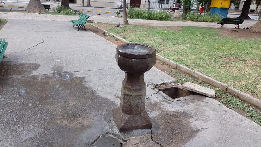 WhatsApp Image 2024-02-12 at 08.27.27