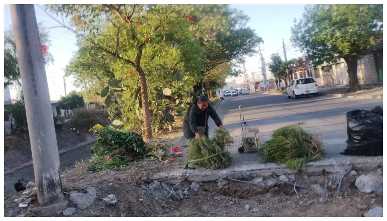 incidente vial taxi av saavedra