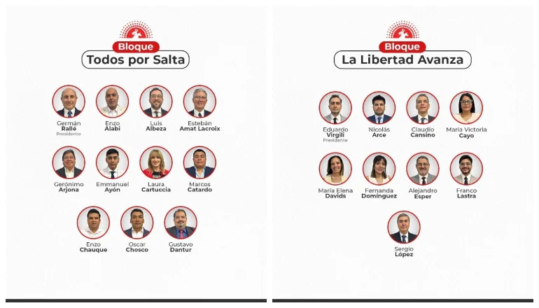 camara de diputados salta