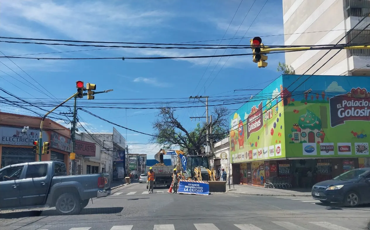 WhatsApp Image 2025-01-06 at 11.48.14