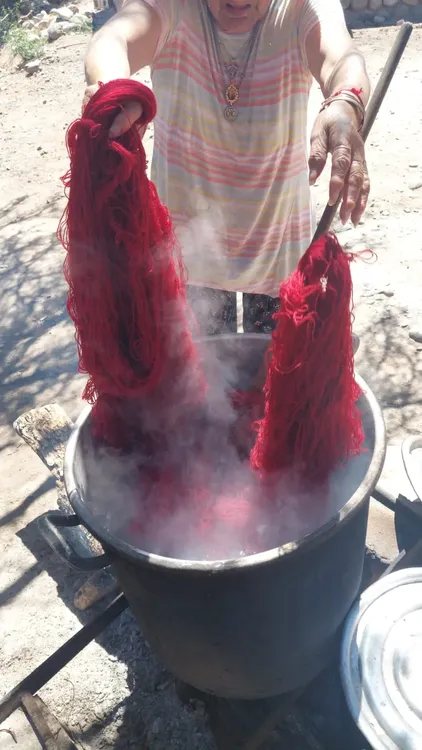 WhatsApp Image 2026-01-08 at 09.39.46