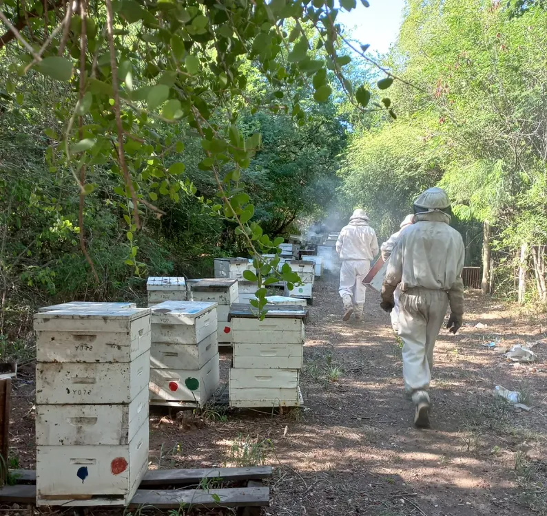 WhatsApp Image 2026-01-09 at 12.32.04