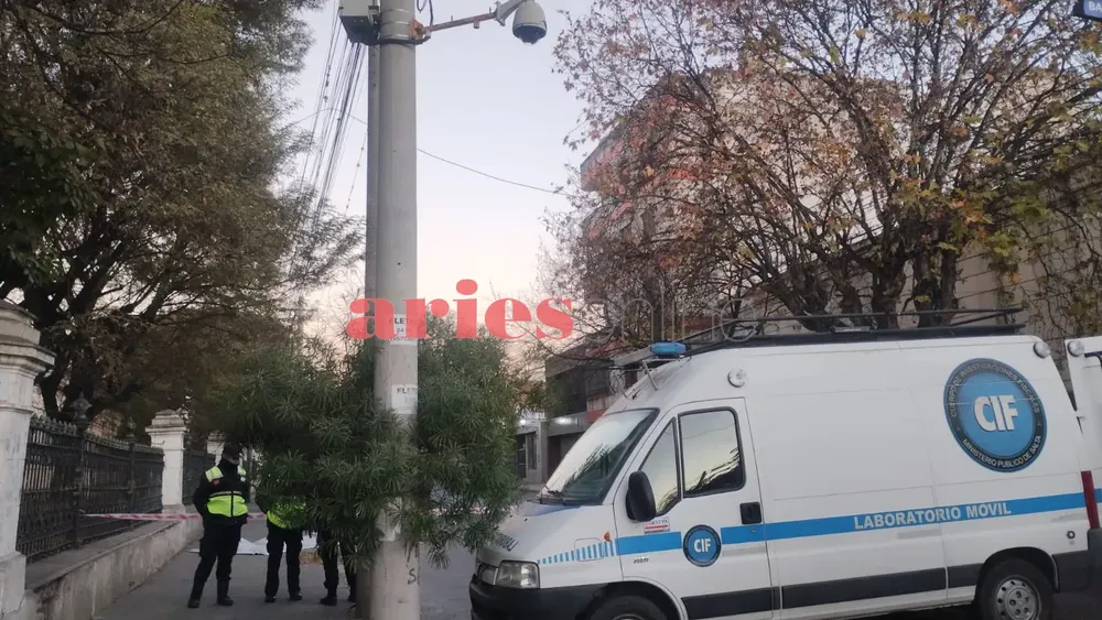 WhatsApp Image 2024-07-17 at 08.03.40