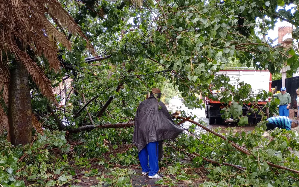 WhatsApp Image 2023-12-02 at 22.29.42