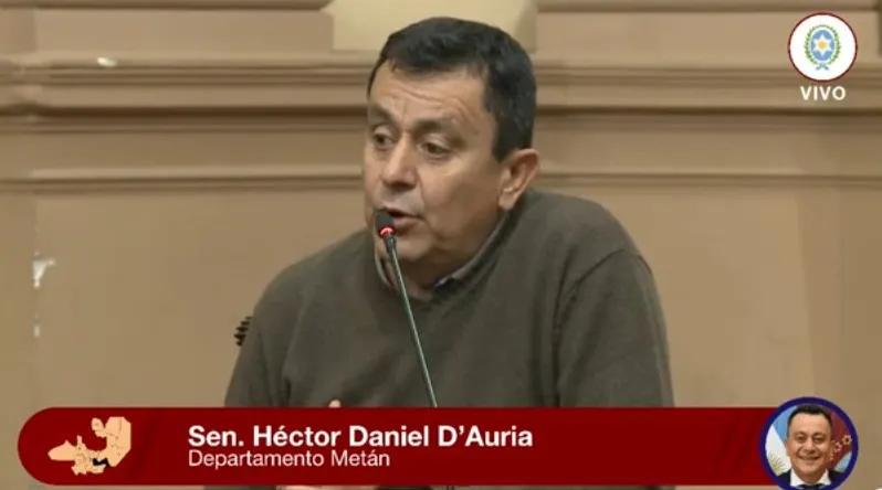 HECTOR D AURIA SENADOR