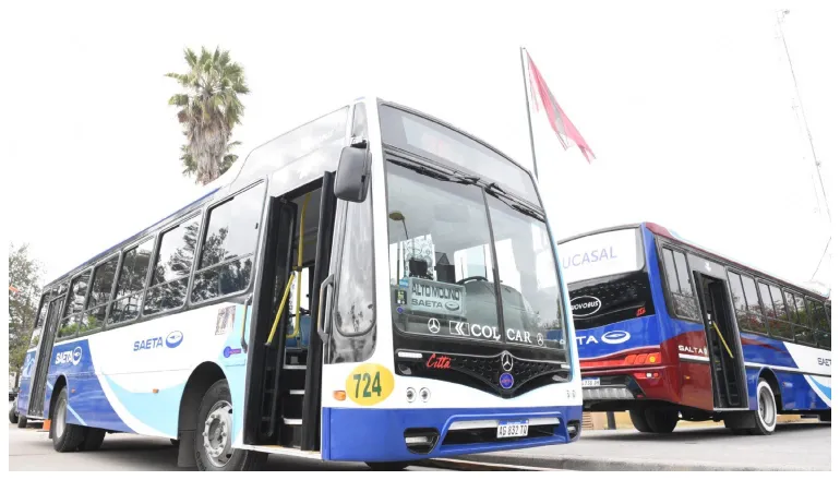 colectivos nuevos