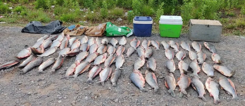 WhatsApp-Image-2025-11-14-at-14.09.13-1-1024x444