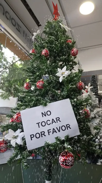 WhatsApp Image 2023-12-08 at 10.41.25