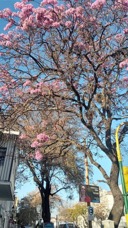 WhatsApp Image 2021-07-23 at 10.45.15 (3)