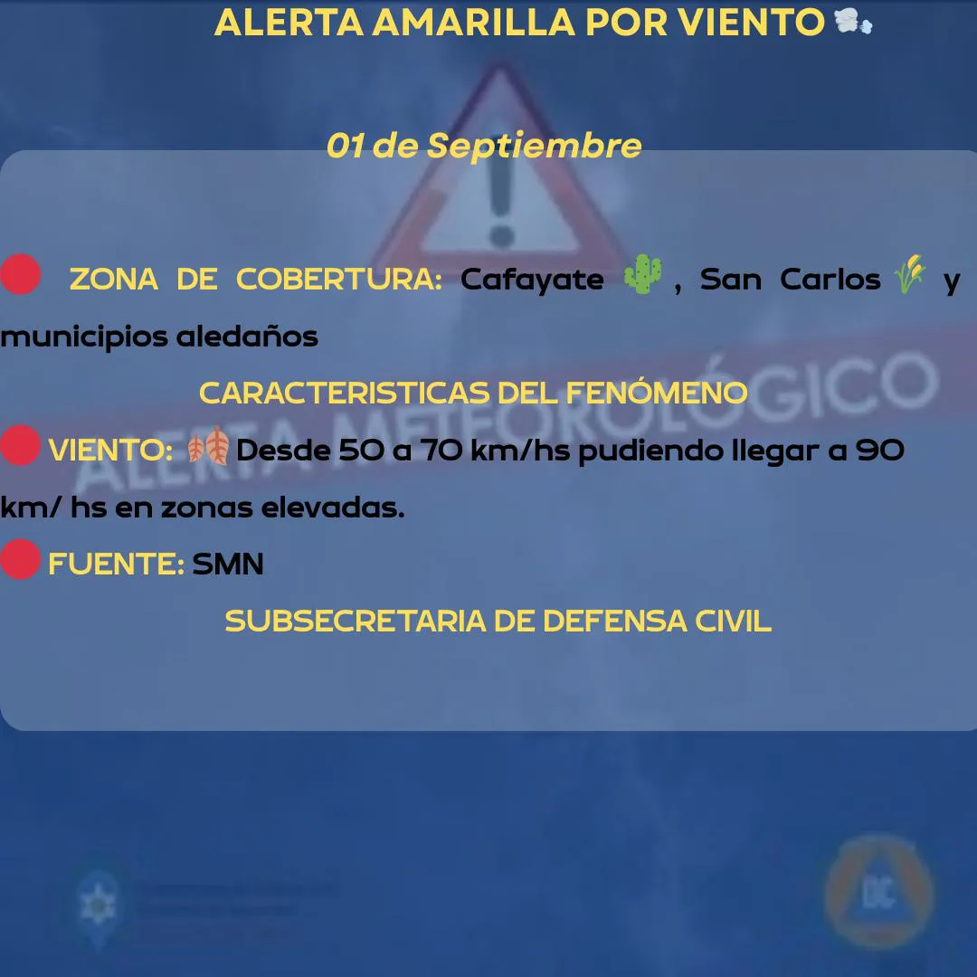 WhatsApp Image 2025-09-01 at 07.22.17