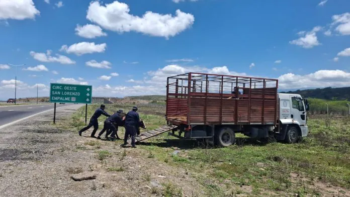 WhatsApp-Image-2025-11-03-at-18.50.59-696x392