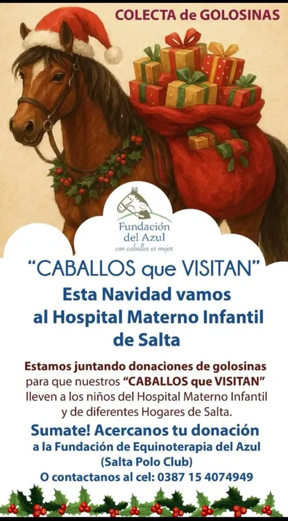 caballos equinoterapia