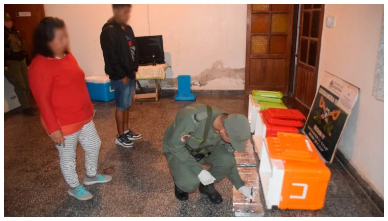 droga en conservadoras