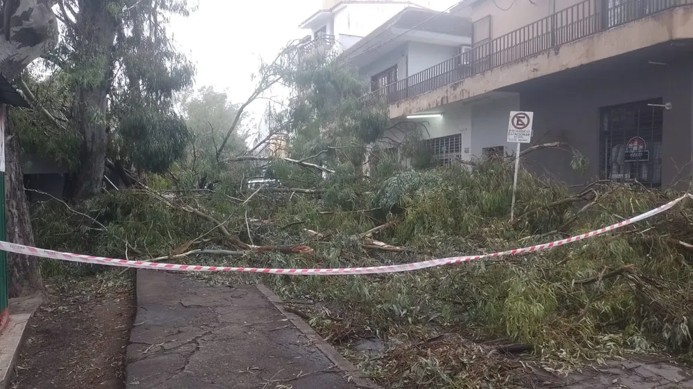 WhatsApp Image 2023-12-04 at 07.29.43 - copia