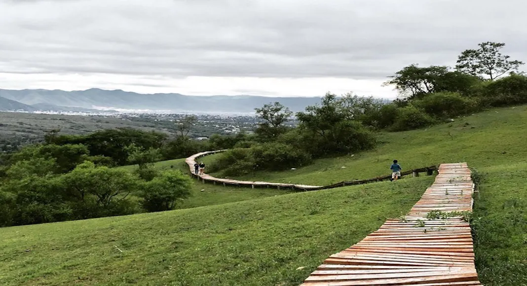Yungas-de-San-Lorenzo