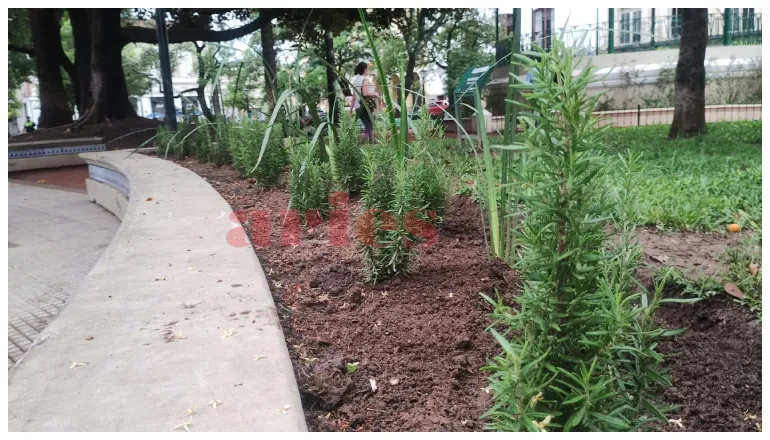 romero en plaza 9 de julio (1)