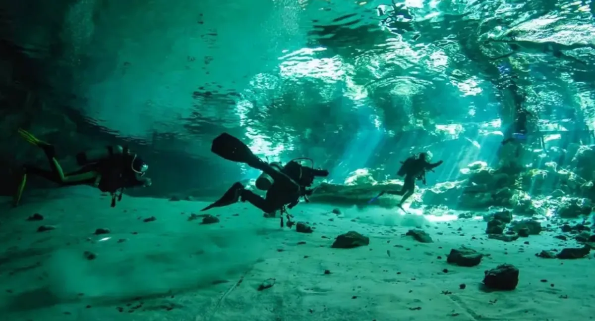 WhatsApp Image 2024-10-07 at 12.45.12