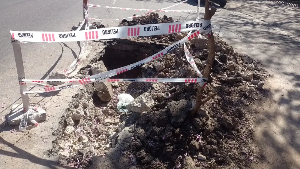 WhatsApp Image 2023-08-15 at 11.45.18 AM