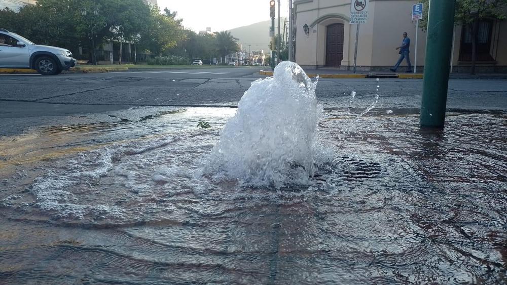 WhatsApp Image 2024-01-08 at 07.19.04