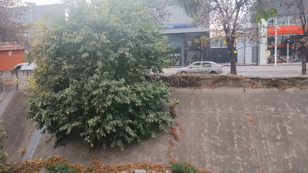 WhatsApp Image 2023-06-05 at 08.23.15