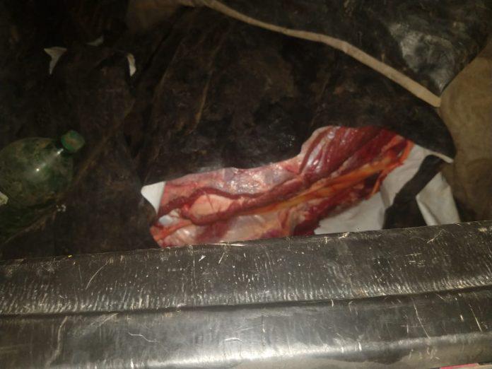 Imagen-de-WhatsApp-2024-01-20-a-las-19.11.58_e79db6dd-696x522