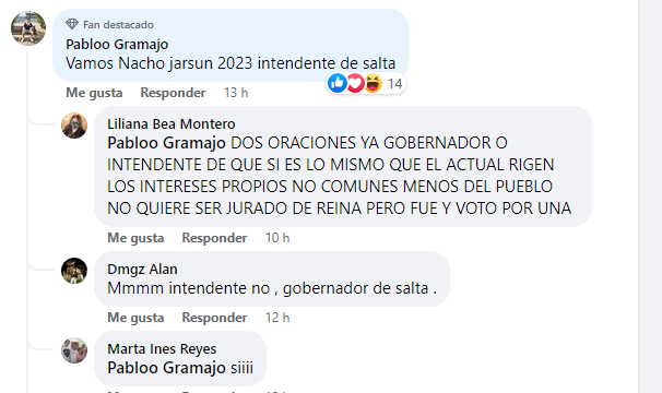 Nacho Jarsún anunció que no será jurado en elecciones de reina de ...