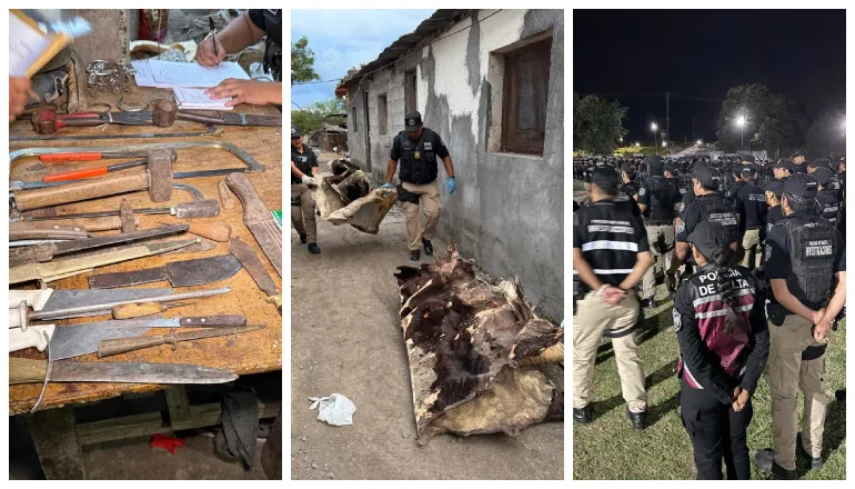 megaoperativo abigeato