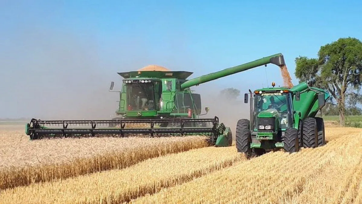 el-nino-ahora-amenaza-la-cosecha-fina-y-estresa-al-campo