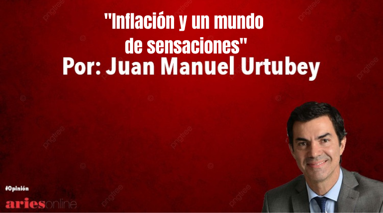 columnas (83)