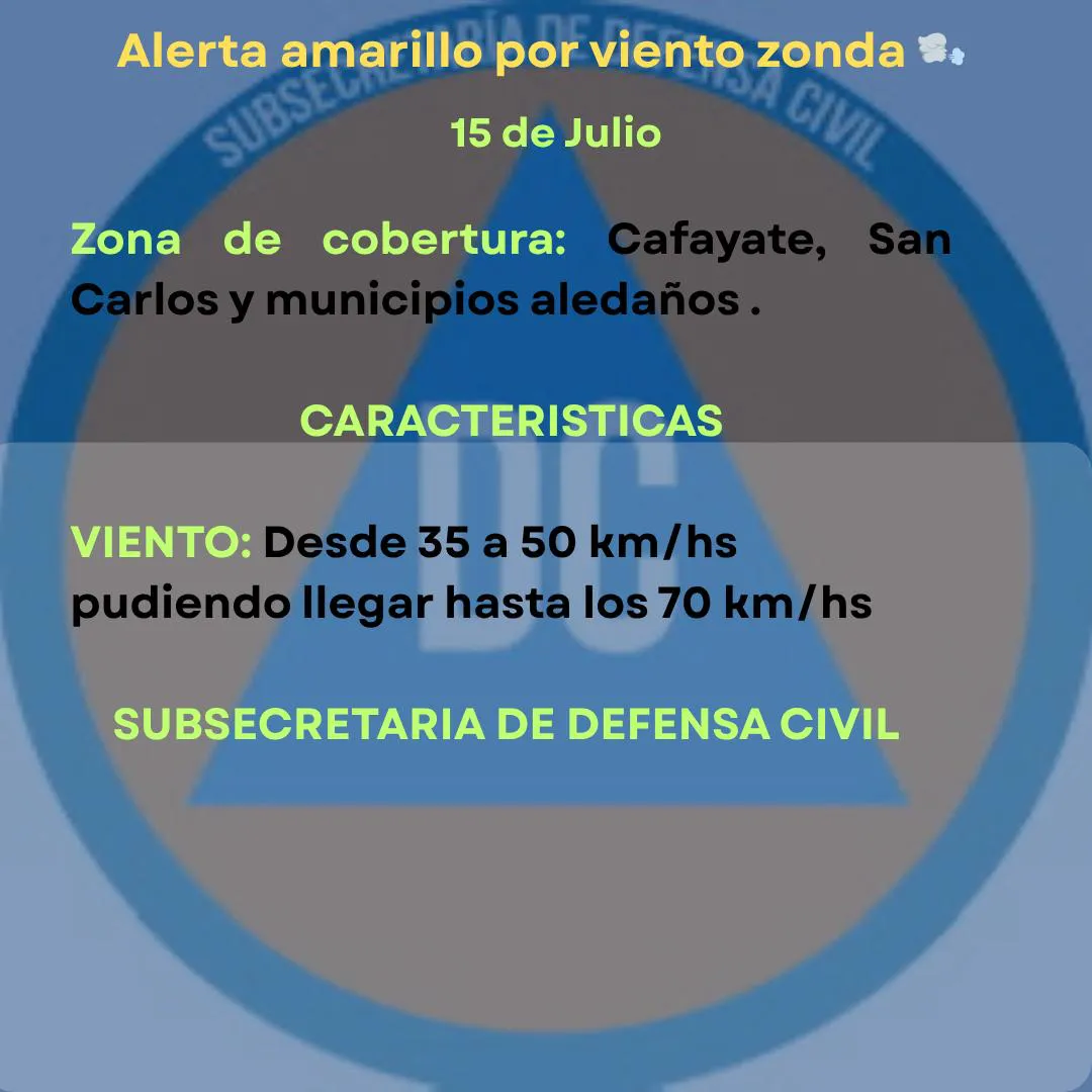 WhatsApp Image 2025-07-15 at 07.44.57