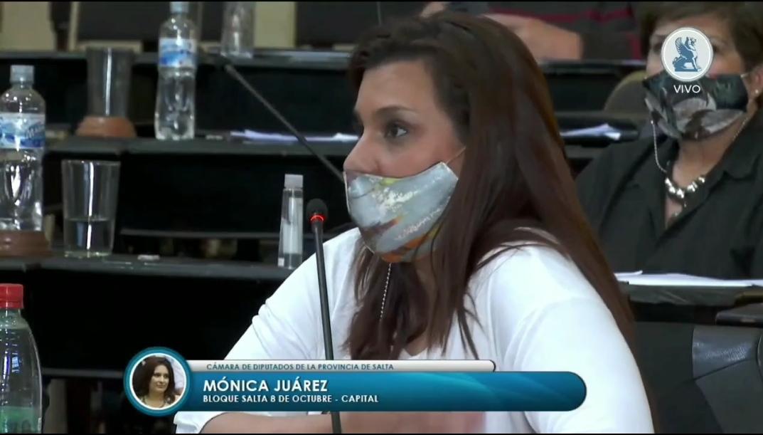 diputada monica juarez
