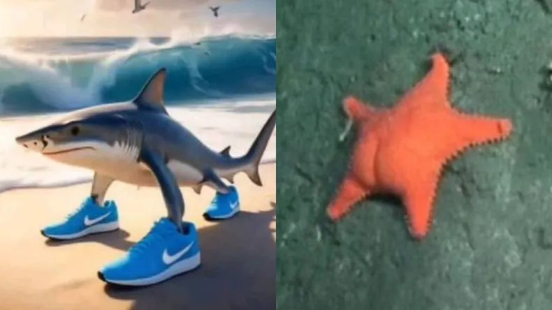 brainrot-tralalero-tralala-estrella-culona-conicet